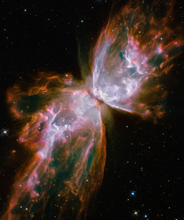 butterfly nebula OK