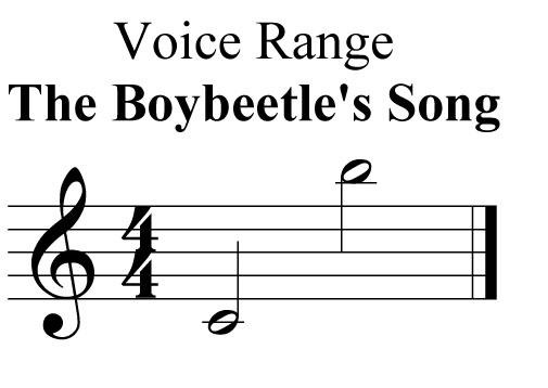 range boybeetle song