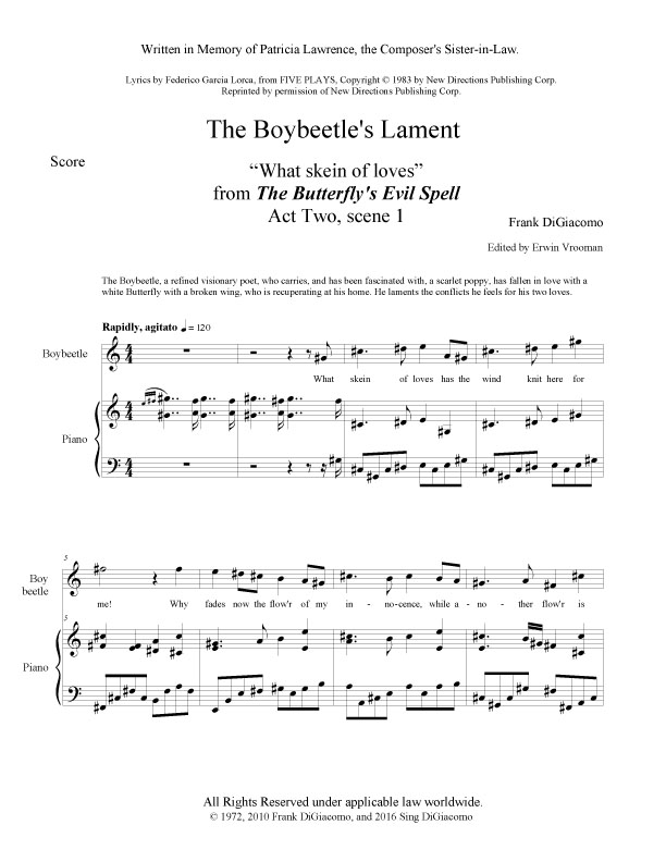 title pg BES2 The Boybeetle Lament