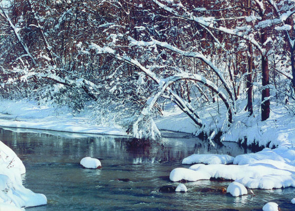 winter stream